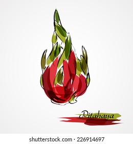 Hand drawn vector ripe red dragonfruit pitahaya on light background
