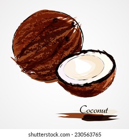 Hand drawn vector ripe whole and half of coconuts on light background
