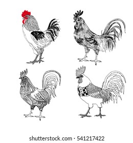Hand drawn vector roosters.