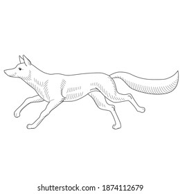 508 Fox running hand drawn Images, Stock Photos & Vectors | Shutterstock