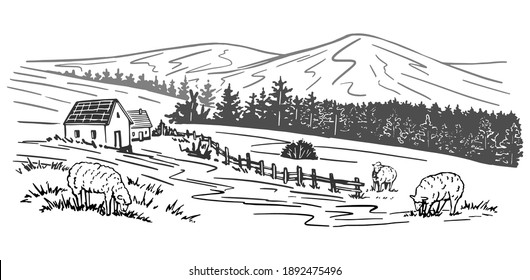 Hand drawn vector rural landscape. Houses, trees, mountain, sheeps. Monochrome graphic illustration isolated on white. Drawing in vintage engraving style for design wrap, print, poster, card, sticker.