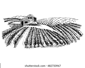 Hand drawn vector rural landscape with a lodge and vineyards. Vector illustration
