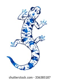 Hand drawn vector salamander