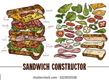 Hand drawn vector sandwich with ingredients. Sketch illustration burger products components and elements. Constructor for fast food restaurant menu