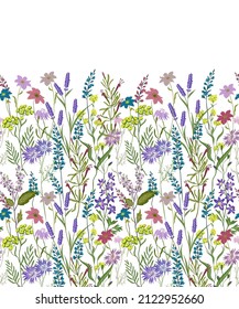 Hand Drawn Vector Seamless Border Of Wild Flowers And Herbs. Flower Meadow. Herbal Graphic Illustration Or Background. Colorful On White