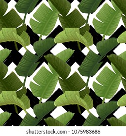 Hand drawn vector seamless pattern with green banana palm leaves on the zig zag striped geometric black and white background. Summer tropical print.