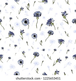 Hand drawn vector seamless pattern of blue coneflowers