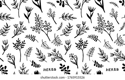 Hand drawn vector seamless pattern with herbs. Doodle floral element. Spring and summer symbol. Contour otline drawing of simple black twigs and flowers. Print design