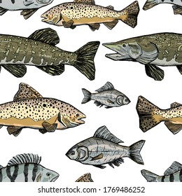 Hand drawn vector seamless pattern of river fish. Trout, Perch, Pike, Crucian realistic ink sketches background. Vintage colorful animalistic design for wallpapers, wrap, textile, card, print, fabric.