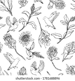 Hand drawn vector seamless pattern of parrots lovebirds and exotic flowers. Realistic bird and plant background Vintage tropical monochrome design for wallpaper, wrap, textile, postcard, print, fabric