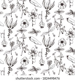 Hand drawn vector seamless pattern of spices and herbs. Medicinal, cosmetic, culinary plants. Seeds, branches, flowers and leaves. Different types of condiment.