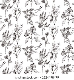 Hand drawn vector seamless pattern of spices and herbs. Medicinal, cosmetic, culinary plants. Seeds, branches, flowers and leaves. Different types of condiment.