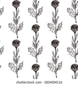 Hand drawn vector seamless pattern of spices and herbs. Medicinal, cosmetic, culinary plants. Seeds, branches, flowers and leaves. Different types of condiment.