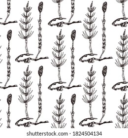 Hand drawn vector seamless pattern of spices and herbs. Medicinal, cosmetic, culinary plants. Seeds, branches, flowers and leaves. Different types of condiment.