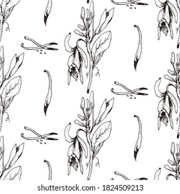 Hand drawn vector seamless pattern of spices and herbs. Medicinal, cosmetic, culinary plants. Seeds, branches, flowers and leaves. Different types of condiment.