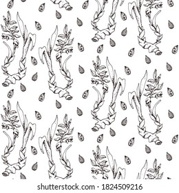 Hand drawn vector seamless pattern of spices and herbs. Medicinal, cosmetic, culinary plants. Seeds, branches, flowers and leaves. Different types of condiment.