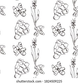 Hand drawn vector seamless pattern of spices and herbs. Medicinal, cosmetic, culinary plants. Seeds, branches, flowers and leaves. Different types of condiment.