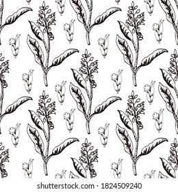 Hand drawn vector seamless pattern of spices and herbs. Medicinal, cosmetic, culinary plants. Seeds, branches, flowers and leaves. Different types of condiment.