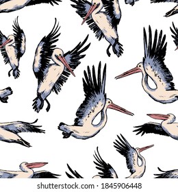 Hand drawn vector seamless pattern of beautiful pelicans. Realistic ink exotic birds background. Vintage tropical colorful wallpaper. Gentle surface design for wrap, textile, postcard, print, fabric.