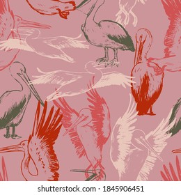 Hand drawn vector seamless pattern of beautiful pelicans. Exotic birds Ink sketches background. Vintage tropical colorful wallpaper. Abstract surface design for wrap, textile, postcard, print, fabric.