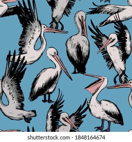 Hand drawn vector seamless pattern of beautiful pelicans. Realistic ink exotic birds background. Vintage tropical colorful wallpaper. Abstract surface design for wrap, textile, postcard, print, fabric