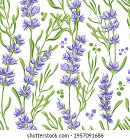 Hand drawn vector seamless pattern in retro style with violet lavender flowers and leaves. Decorative floral background for a wedding or branding design in purple and green colors