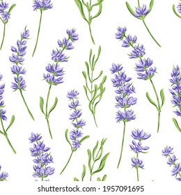 Hand drawn vector seamless pattern in retro style with violet lavender flowers and leaves. Decorative floral background for a wedding or branding design in purple and green colors