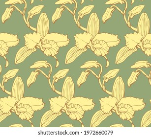 Hand drawn vector of seamless pattern with Dendrobium orchids on green background. Endless texture for your design.