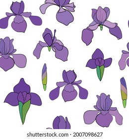 Hand drawn vector seamless pattern with purple irises with no background. 10 EPS.