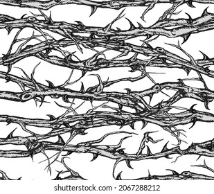 Hand drawn vector seamless pattern of tangled horizontal briar patch with stems and thorns. Black and white illustration.