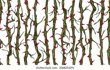 Hand drawn vector seamless pattern of vertical briar patch with stems and thorns.