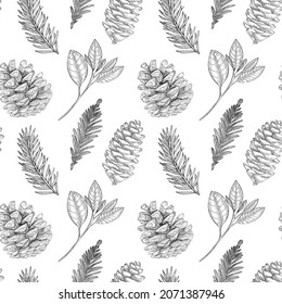 Hand drawn vector seamless pattern with pine tree branches, pine cones. Christmas ornament. Outline drawing