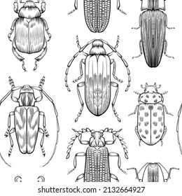 Hand drawn vector seamless pattern with black outline engraving ornament with insects. Beetles on white background.