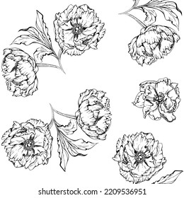 Hand drawn vector seamless pattern with peony flowers, buds and leaves. Isolated on white background. Design for wedding or greeting cards, invitations, wallpaper, print, textile, wrapping paper