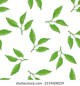 Hand drawn vector seamless pattern of lemon leaves.  Great for poster, menu or label.