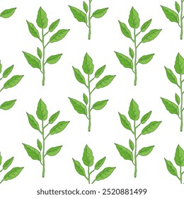 Hand drawn vector seamless pattern of lemon leaves. Great for poster, menu or label.	
