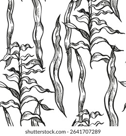 vetor desenhado à mão padrão sem emenda com algas subaquáticas, ramos de planta no fundo do mar, oceano, ilustração monocromática de decoração de aquário, esboço branco preto de grama de recife, arte da linha marinha