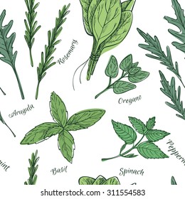 Hand drawn vector. Seamless pattern with herbs and spices. 