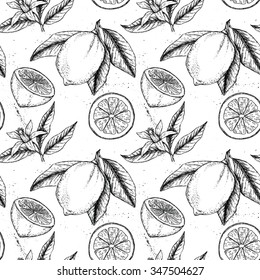 Hand drawn vector seamless pattern. Collections of Lemons. Blossom plant with leaves