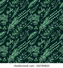 Hand drawn vector. Seamless pattern with herbs and spices. Herbal background