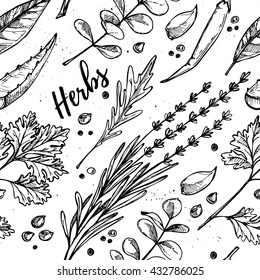 Hand drawn vector. Seamless pattern with herbs and spices.