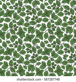 Hand drawn vector seamless pattern with mint leaves, peppermint, spicy herbs, kitchen texture, Doodle cooking ingredient for design package tea, wallpaper, cosmetics, textile, natural organic product