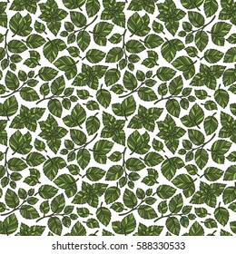 Hand drawn vector seamless pattern with mint leaves, peppermint, spicy herbs, kitchen texture, Doodle cooking ingredient for design package tea, wallpaper, cosmetics, textile, natural organic product