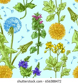 Hand drawn vector seamless pattern with 
wildflowers. Decorative floral illustration. Sketch style. Us for skrapbuking, tissue, textile, cloth, fabric, web material