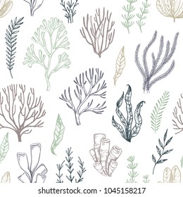 Hand drawn vector seamless patterns. Seaweed. Background with herbal plants in sketch style. Perfect for textile, fabric, invitations, cards, leaflets, prints etc