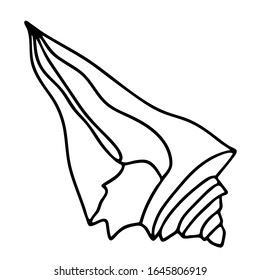 Hand drawn vector seashell. Digital illustration cute doodle black outline freehand single shell. Print for stickers, wrapping paper, baby fabrics, cards, banners, web design. abstract retro design 