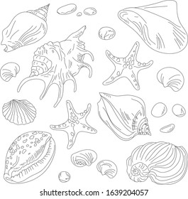 Hand drawn vector seashells set