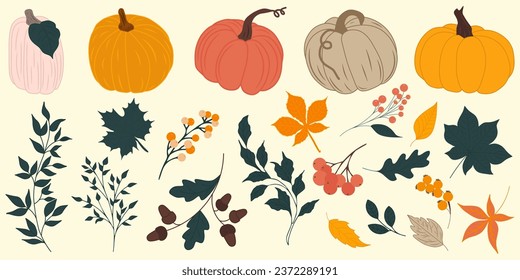 Hand drawn vector set autumn elements. Fall leaves, mushrooms, maple, acorns, berries, oak, pumpkins. Harvest time. Colored trendy illustration. Autumn floral stickers.