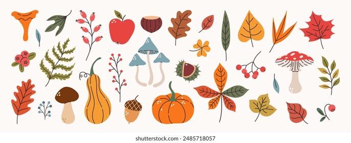 Hand drawn vector set autumn elements. Fall leaves, mushrooms, maple, acorns, berries, oak, pumpkins. Harvest time. Colored trendy illustration. Autumn floral stickers. 