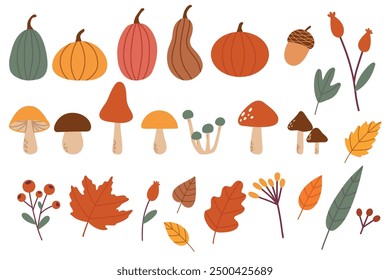 Hand drawn vector set autumn elements. Fall leaves, mushrooms, maple, acorns, berries, oak, pumpkins. Harvest time. Colored trendy illustration. Autumn floral stickers. EPS10